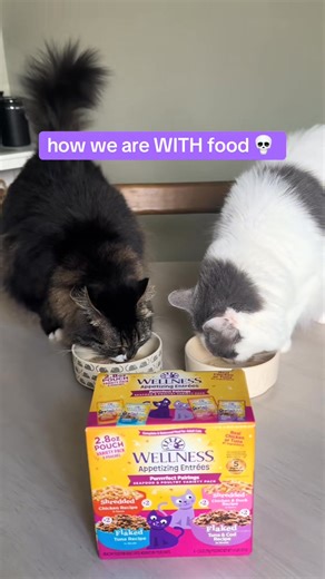 You know how brothers can be 😅 but hey, good thing Wellness Appetizing Entrees can bring them together, right?! | Wellness Pet Food