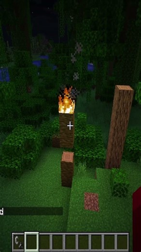 how to start a forest fire #minecraft