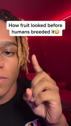 The Evolution of Fruits: Before and After Human Intervention