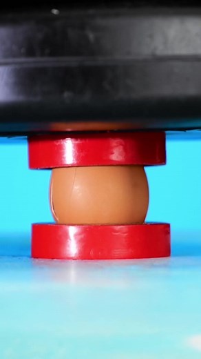 Who knew eggs could be so strong? #Invincible #Method #ScienceExperiments