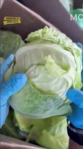 2,000+ lbs Of Meth Hidden in Cabbage