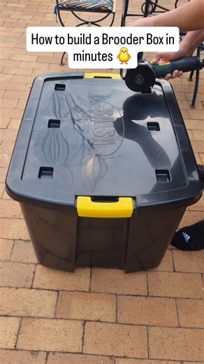 The storage box that raises ducklings. 🐥 Our Salsa 150L Storage Box became a cozy DIY Brooder Box thanks to @urbanfarmer_sa. ✨ Easy to clean ✨ Room to grow ✨ Strong. Secure. Built to last. 💚 Now on promo: 150L Mighty Storage Box on Wheels — R199.99. | Crazy Plastics South Africa