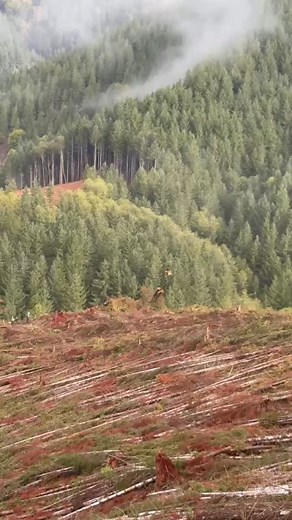 The #timber industry’s facing challenges - new regulations, shifting markets and fewer hands in the field. The #strength of this industry isn’t just in the wood - it’s in the people who never stop showing up. It’s a #hellofaview. 🌲 •••• #americasbackbone #logging #logginglife #loggersworldwide #timber #pnw #loggerup #forestry #loggingequipment #cablelogging #logger #dirtyhandscleanmoney #bluecollar #bluecollarbrotherhood #workinginthewoods #yarder #treefelling #forestryequipment #heavyequipment