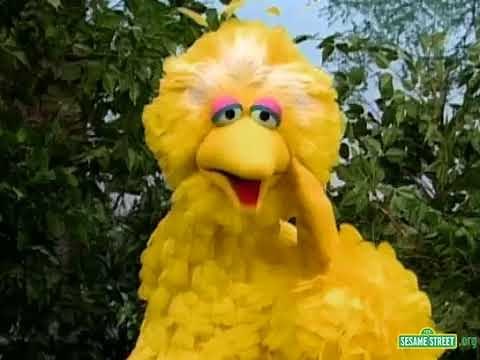 Sesame Street Big Bird And Radar