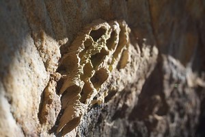 The Obed (Crag Review)