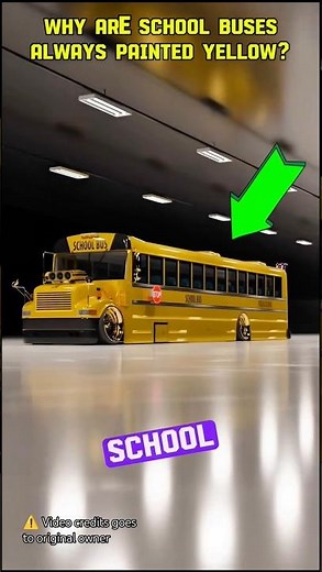Why School Buses Always painted Yellow? #interestingfacts