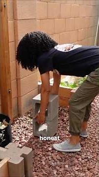 Here’s how I making burdock root work in my desert garden. #medicinalgarden