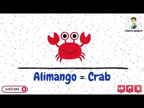 Lino Learns About Animals 🐘 - Tagalog & English Animal Names for Kids, Lino’s World Learning Channel