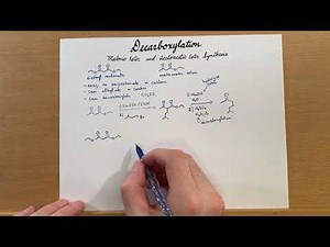Decarboxylation: Malonic Ester and Acetoacetic Ester Synthesis