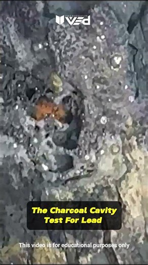Charcoal Cavity Test for Lead — Real or Myth? ⚙️🔥 #shorts
