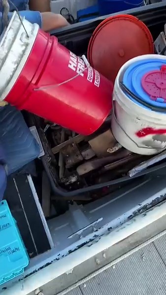 42K views · 346 reactions | Dirty boat tour - fiddler crab and dead shrimp #boatfails #boating #creditcardcaptain #bassfishing #boatrampchamp #boatramp | Credit Card Captain | Facebook