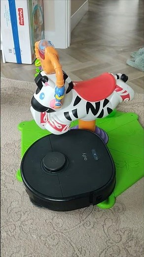 Finally Arrived! My Baby’s New Fisher-Price Zebra Bounce & Spin Toy