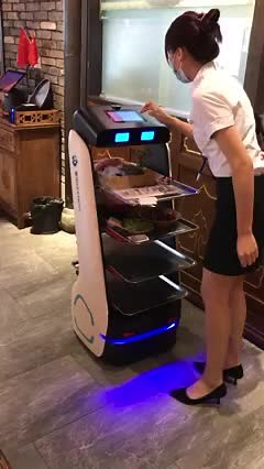 Robotic Food Delivery System in Restaurant