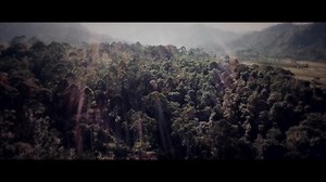 3.4K views · 105 reactions | Let us tell you a story.. of a 90-year journey in the manufacture of fine espresso machines. | La Marzocco | Facebook