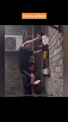 웃긴 영상 추천: 재미있는 순간 모음