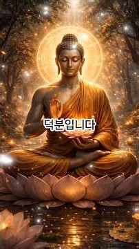 **석가모니 부처님은 어떻게 알아볼까요?｜불상의 손 모양에도 뜻이 있습니다**