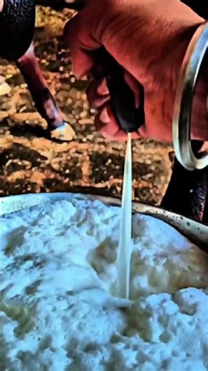 Z black 🖤 #dairyfarm #india #viral #youtubeshorts @Bro_codeDairyfarm