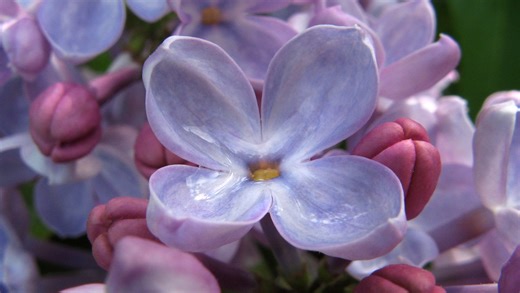 When is the first day of spring 2026? Here’s the date and weather outlook