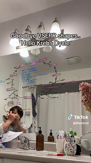 Exploring the Krebs Cycle in Chemistry