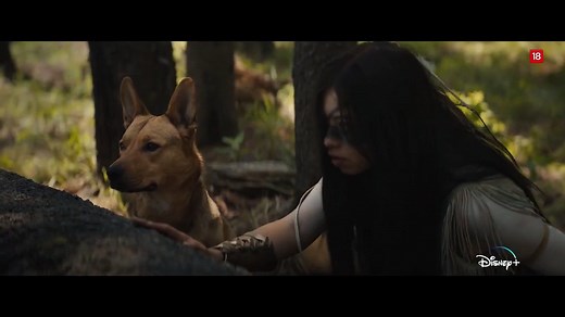 Predator: La presa - Tráiler oficial español Disney+