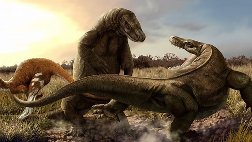 674K views · 16K reactions | Much like Steve, Robert surely has a way with Komodo Dragons! #TheIrwins | Animal Planet | Facebook