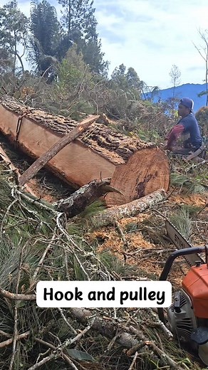 turning heavy wood using a hook and pulley #stihl #penebangkayu #woodworking #pinewood #chainsaw #viralreels #fyp #pulley | Rusli Stihl