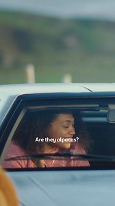 4.2K views | Take a road trip around the island of Ireland! New sights and adventures are waiting for you at every turn. | Tourism Ireland | Facebook