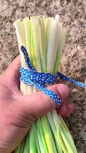 Simpler Tethering Method for Bundling Vegetables Than You Think
