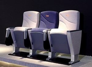 [Hot Item] University College Classroom Office Seminar School Lecture Conference Hall Theater Church Cinema Auditorium Seating