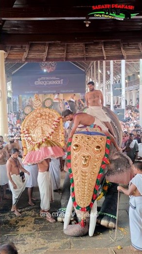 🙏 കൊമ്പ് തുമ്പിയിൽ കുത്തി ഗുരുവായൂർ ഇന്ദ്രസെൻ guruvayoor indrasen elephant ettumanoor temple hathi