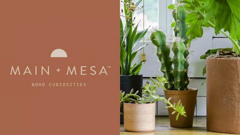 Main + Mesa Faux Cactus in Terracotta Colored Pot