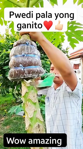 Pwedi pala yong ganito #followerseveryone #akoaymagsasaka #highlights | Ako ay magsasaka