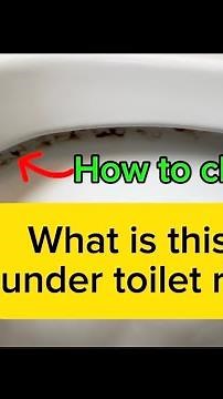 How to clean mold and mildew under toilet rim, clean toilet #cleaning #toilet #bathroom #diy #howto