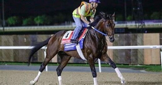Global spotlight falls on Meydan as 170 nations tune in for Dubai World Cup