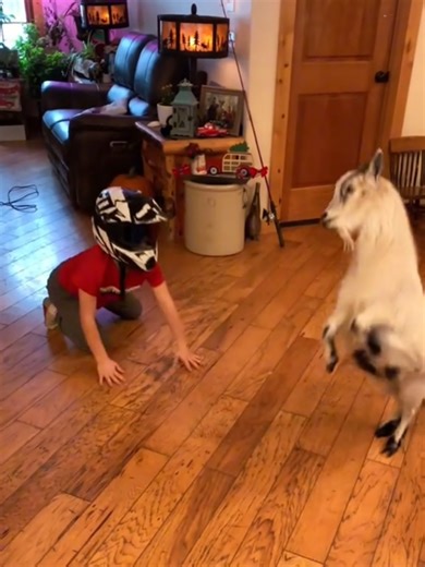 🤣🤣 #scareprank #jumpscare #prank #funny #funnyprank