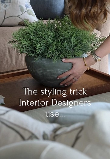 Elevate Your Space with Faux Potted Spanish Moss