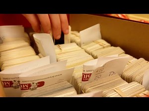 Historical Stewardship: Students in Collections (Hallie Brill)