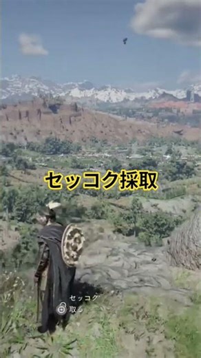 【紅の砂漠】【セッコク】採取のごご参考に。（Crimson Desert）