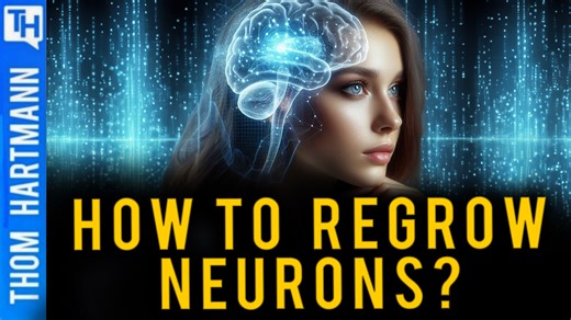 Brain Rejuvenation Breakthrough: Can Avoiding This Save Your Brain? New scientific study shows that it might actually be possible to rejuvenate your brain and all you have to do is avoid this common product. Thom Hartmann explains. | Thom Hartmann