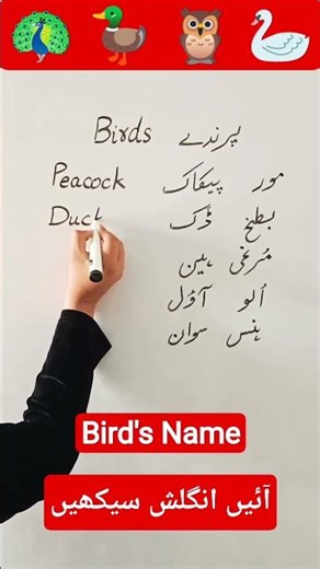Learn Bird Names in English & Urdu | Maham Academy YouTube Shorts #birds #vocabulary #spokenenglish