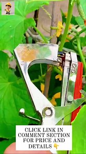17K views · 59 reactions | Manual tying machine  #plant #TyingMachine #gardentools #highlight #followers #reels #TopFans | PoorMan | Facebook