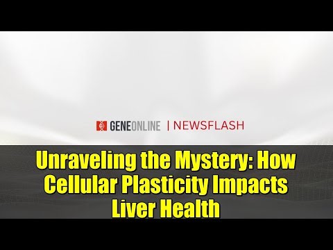Unraveling the Mystery: How Cellular Plasticity Impacts Liver Health