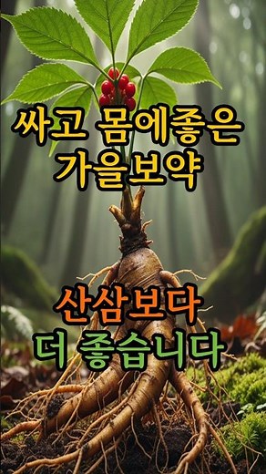 산삼보다 좋다? 가을에 꼭 먹어야 할몸에좋은제철음식5가지#시니어건강 #가을제철음식 #자연보약 #건강식품 #제철음식효능