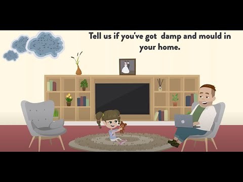 Condensation, damp and mould animation