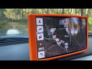 "Hounds Screaming" | Deer Hunting with Dogs 2022 | North Carolina