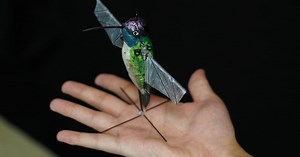 Hummingbird robot could hover, search and rescue