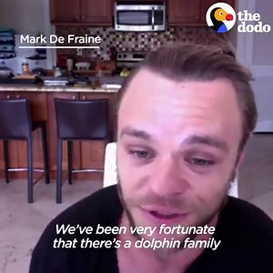 3.5M views · 108K reactions | This wild dolphin plays the cutest game with her dog friend  | The Dodo | Facebook