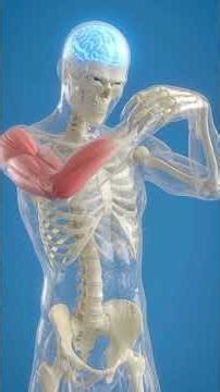 #illustration 🧊 30 Days Cold Shower Challenge ❄️🔥 | ICEMAN Transformation