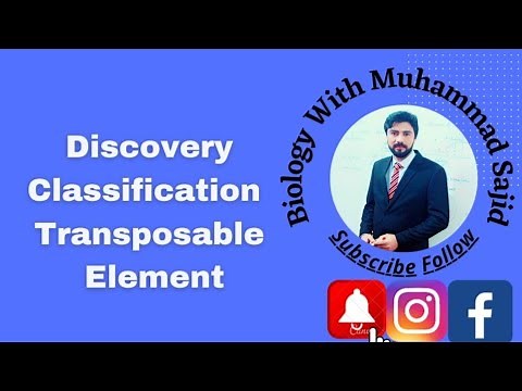 Introduction of Transposable Element Discovery and History Classification