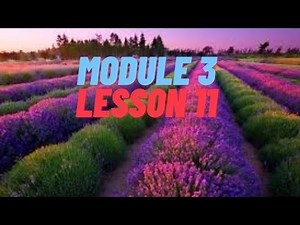 Module 3, Lesson 11